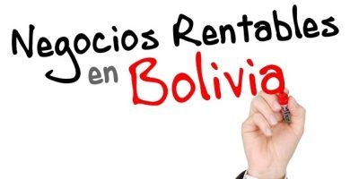 negocios rentables en bolivia